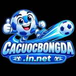 Cado BongDa Profile Picture