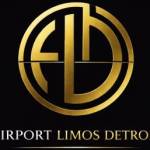 Airport limosdetroit Profile Picture