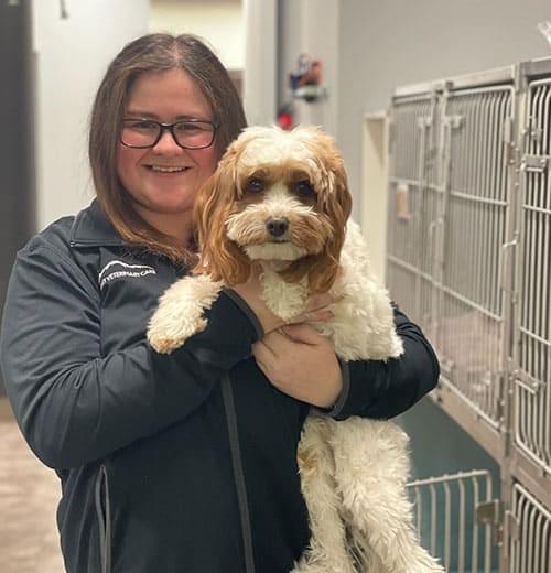 How Everyday Care Shapes a Pet's Lifetime of Wellness -...
