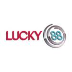 LUCKY88 VENTURES Profile Picture