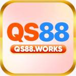 Qs88 works Profile Picture