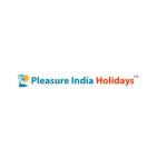 Pleasure India Holidays Profile Picture