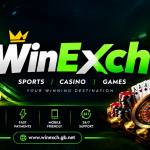diamond__ exch99 Profile Picture