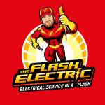 theflash electric Profile Picture