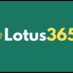 Lotus365 Profile Picture