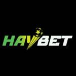 Nhà Cái Haybet Profile Picture