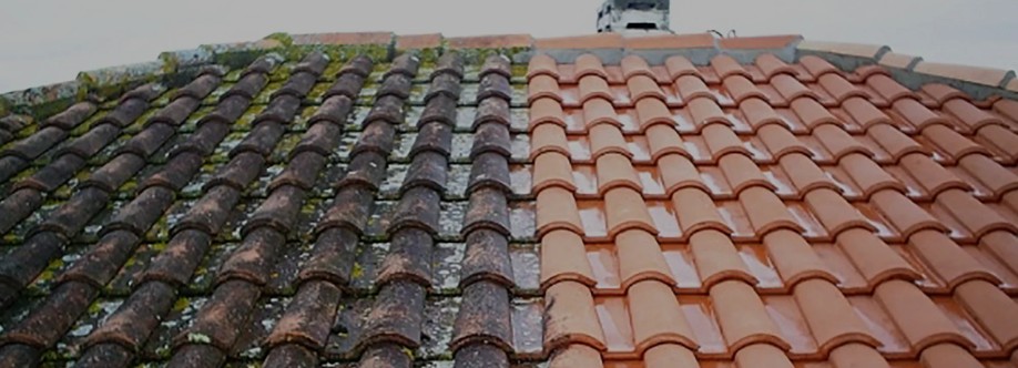 Bass Roof Restoration Cover Image