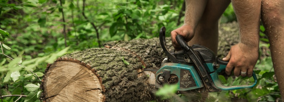Xtreme Tree Cover Image