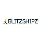 Blitz Shipz Profile Picture
