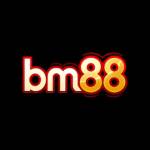 BM88 profile picture
