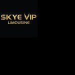 Stretch Limo Dubai Profile Picture