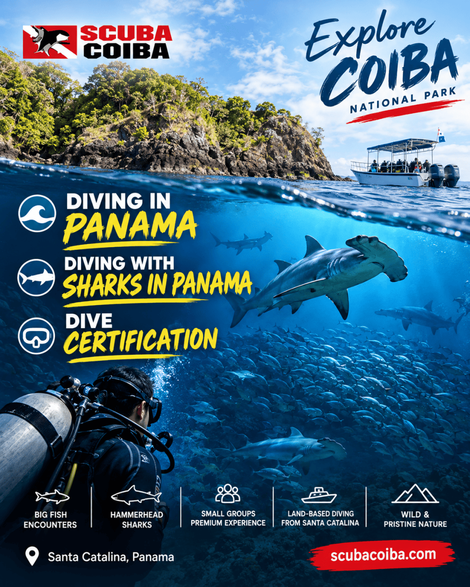 Exploring Coiba National Park Through Diving From Santa Catalina – Scuba coiba