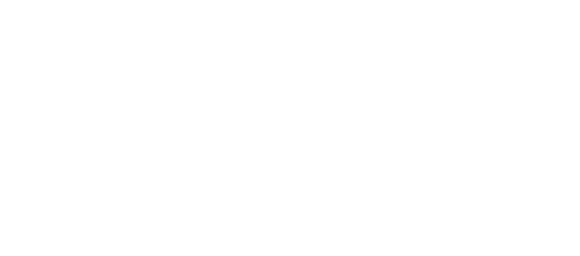 Custom Website and Software Development Company in India