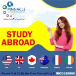 Pinnacle Overseas Consultants Profile Picture