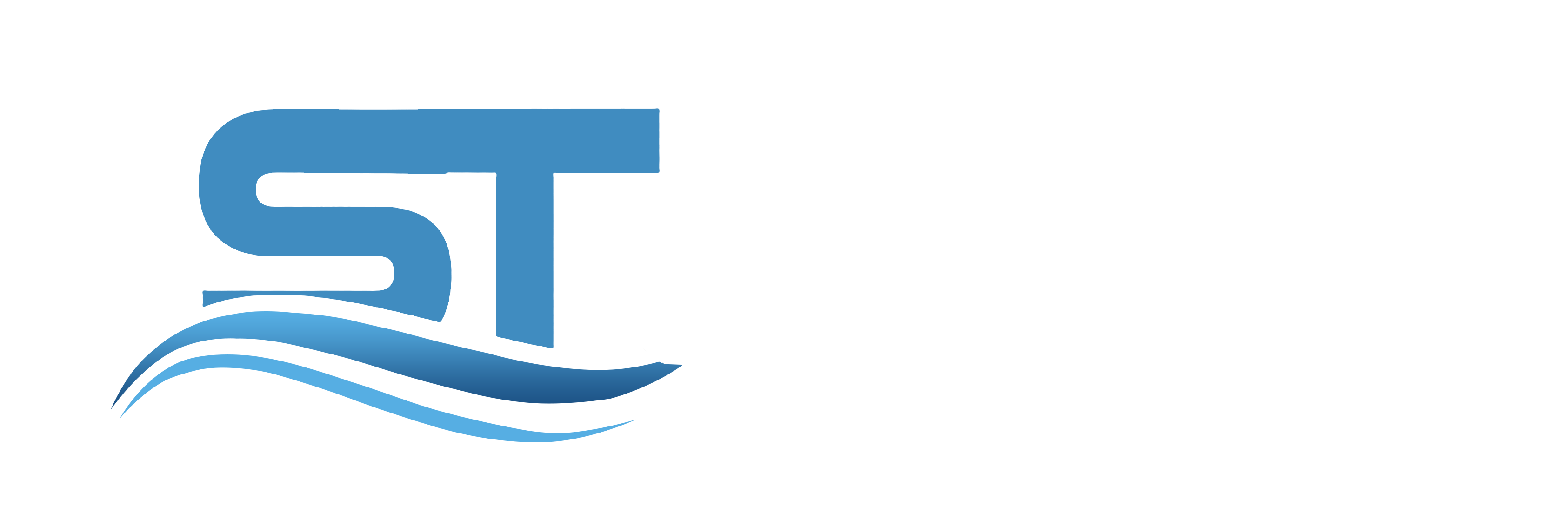 Website Development Services – Sangita Technologies