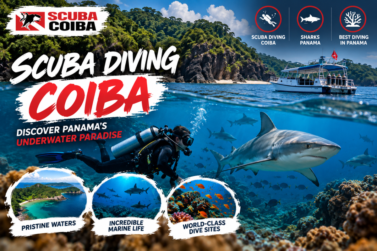 Exploring Coiba National Park: A Guide to Diving, Sharks and the Pacific Underwater World – Scuba coiba