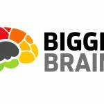 Bigger Brains Profile Picture