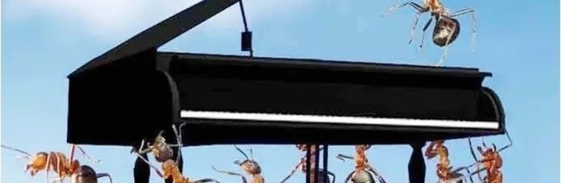Sydney Piano Removals Cover Image