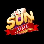 Sunwinvi Com Profile Picture