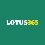 lotus365 limited profile picture