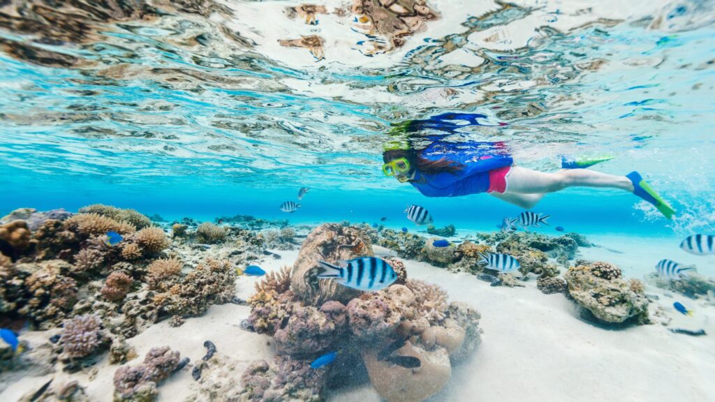 Questions to Ask Before Booking a Snorkeling Tour in Oman - Smart SEO Article