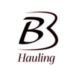 B3 Hauling Profile Picture