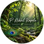 Nikhil Rapolu profile picture