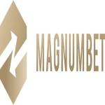 MAGNUM BET profile picture