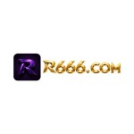 R666P COM Profile Picture