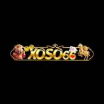 Xoso66vz Com Profile Picture