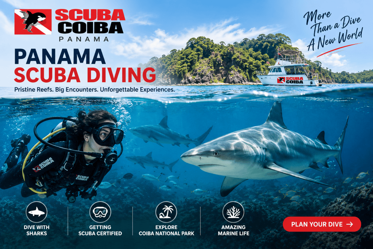 Panama Scuba Diving: Explore Coiba and Its Marine Life – Scuba coiba