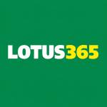 lotus 365 Profile Picture