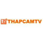 thapcam tv work profile picture