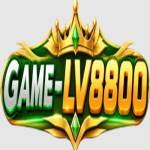 LV8800 Game Profile Picture