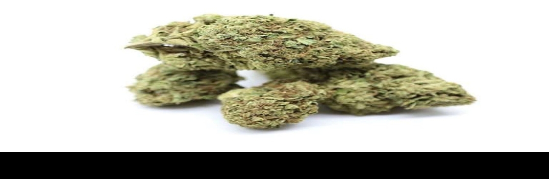 Green Therapy Cover Image