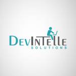 Devintelle Consulting Solutions Profile Picture