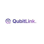 Qubit Link Profile Picture
