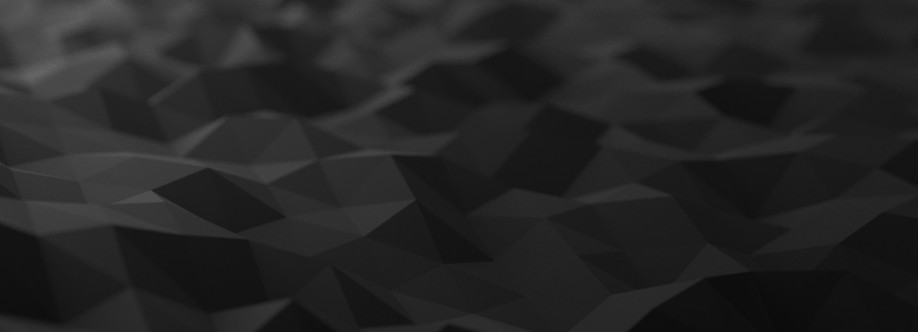 Terhi Vasala Cover Image
