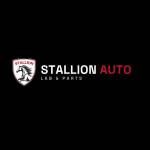 Stallion Auto Profile Picture