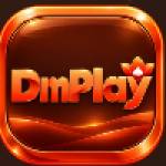 DM Play online gaming online gaming Profile Picture