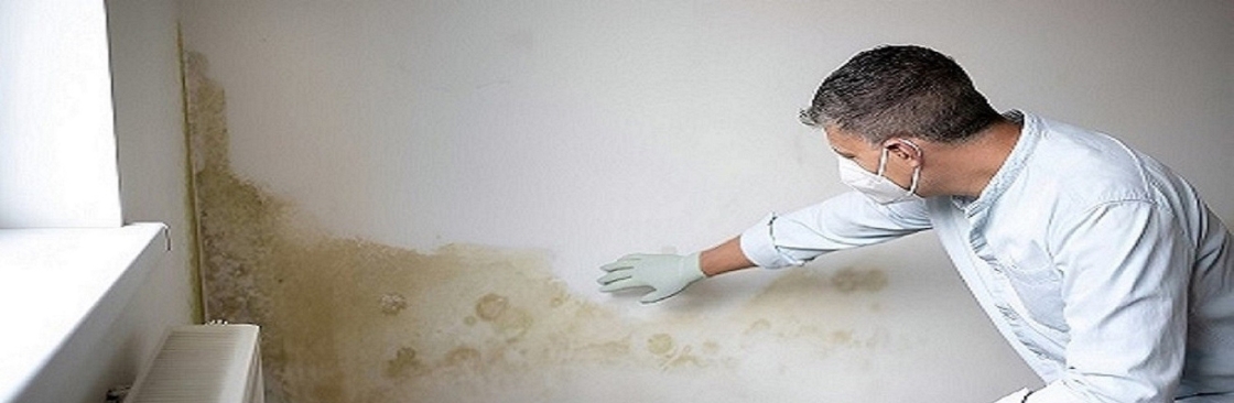The Mould Assessors Cover Image