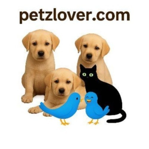 Petzlover Janani Profile Picture