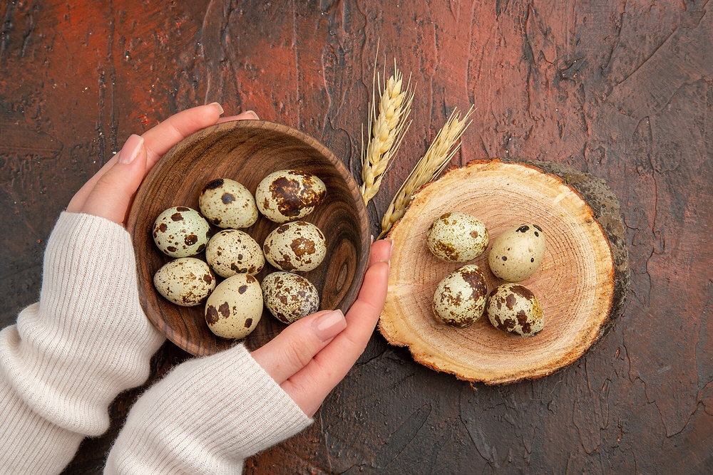 Where to Buy Quail Eggs in Singapore for Home and Business Use