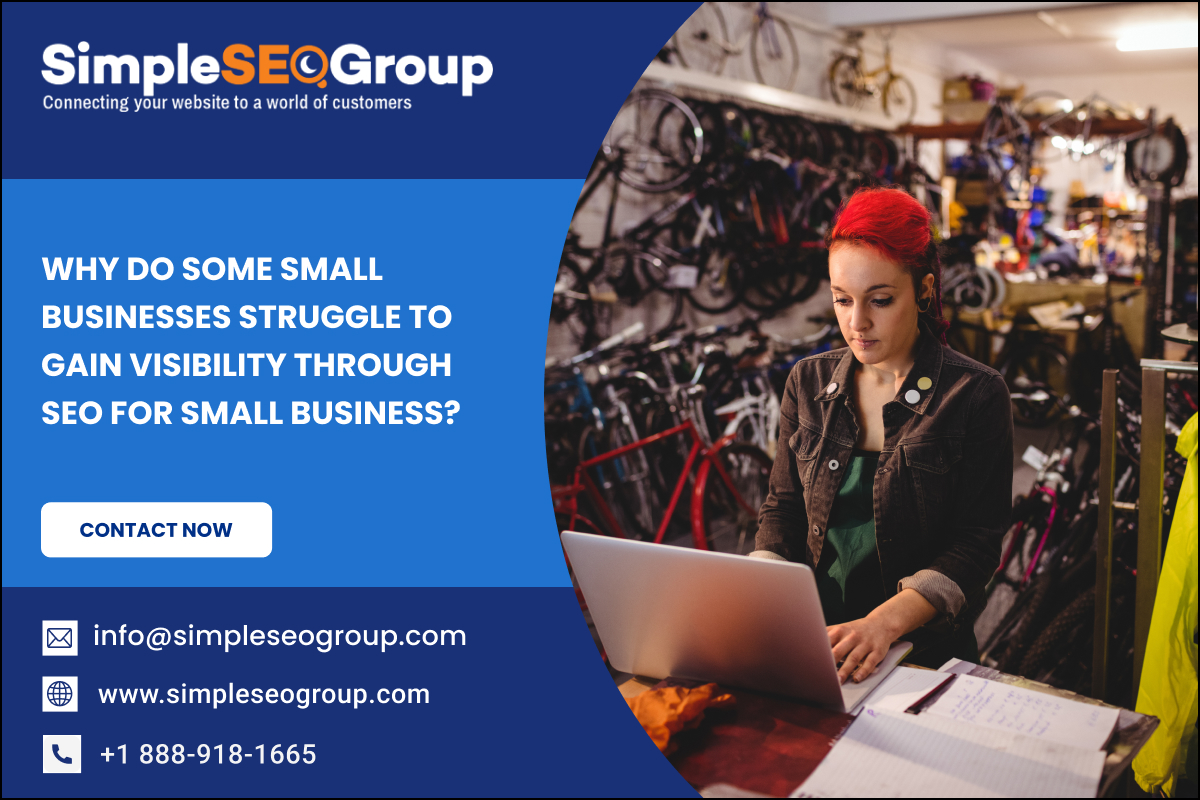 Why Do Some Small Businesses Struggle to Gain Visibility Through SEO For Small Business? – Simple SEO Group Blogs
