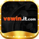 vswinit com Profile Picture