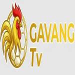 Nền Tảng Gavang TV Profile Picture