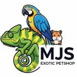 MJS Exotics Profile Picture
