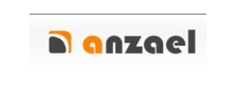 Anzael LLC Cover Image