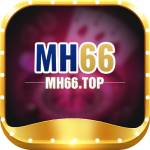 mh66 top Profile Picture