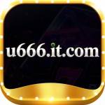 u666 it com Profile Picture